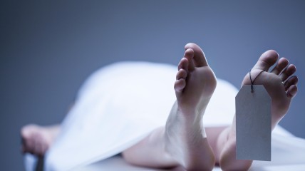 Wetsdokter Jan Bolt